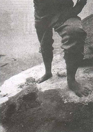 1997年8月14日科学家发现最早的人类足迹